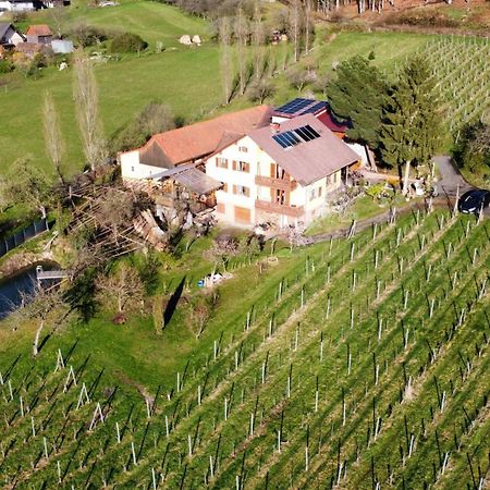 Appartement Weingut Schoberhof Bad Gleichenberg Extérieur photo