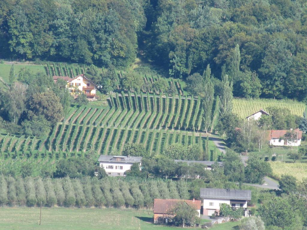 Appartement Weingut Schoberhof Bad Gleichenberg Chambre photo