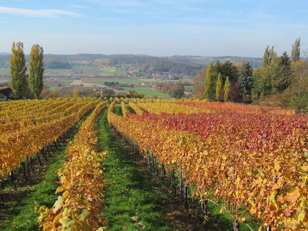 Appartement Weingut Schoberhof Bad Gleichenberg Chambre photo