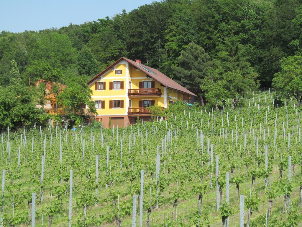 Appartement Weingut Schoberhof Bad Gleichenberg Chambre photo