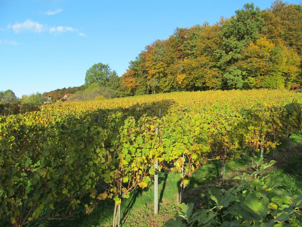 Appartement Weingut Schoberhof Bad Gleichenberg Chambre photo