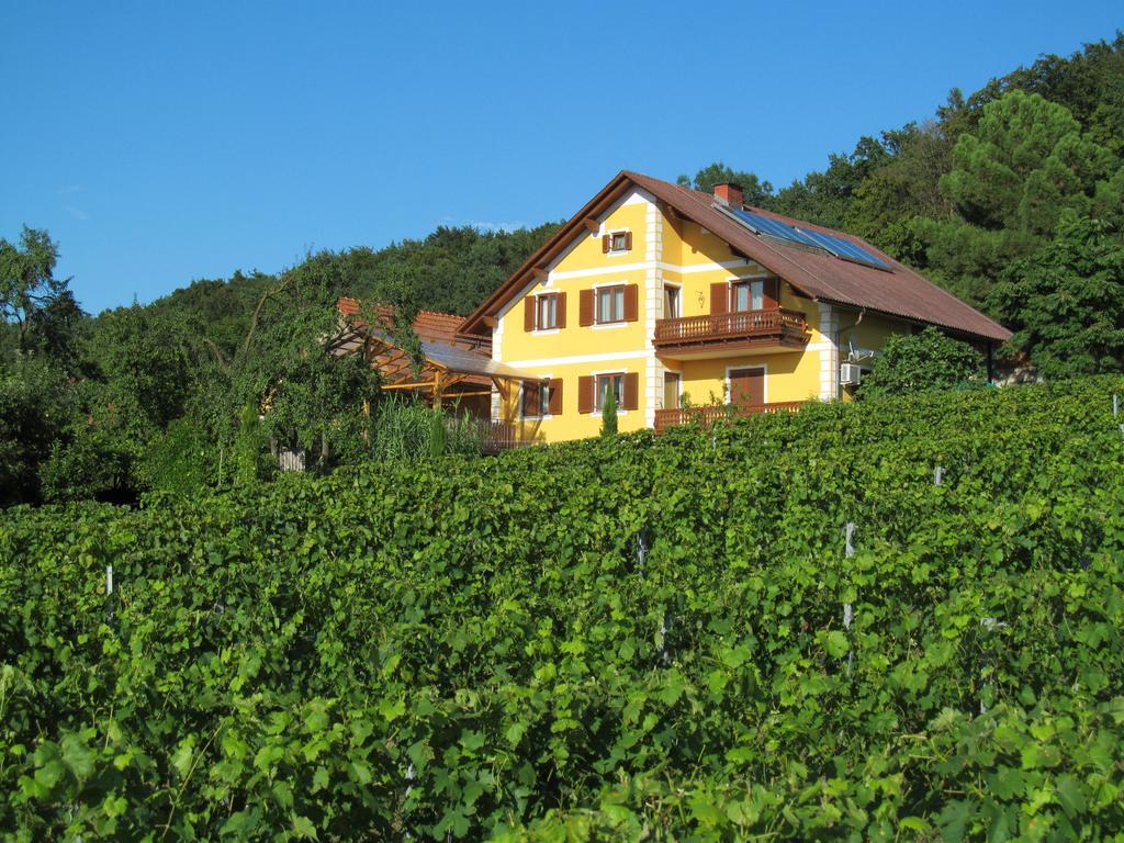 Appartement Weingut Schoberhof Bad Gleichenberg Extérieur photo